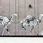 Dubai Camels