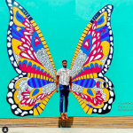 Decatur Civic Center Wings