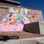 Bird Cage & Arizona Flock